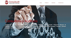 Desktop Screenshot of consulaudit.es