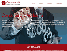 Tablet Screenshot of consulaudit.es